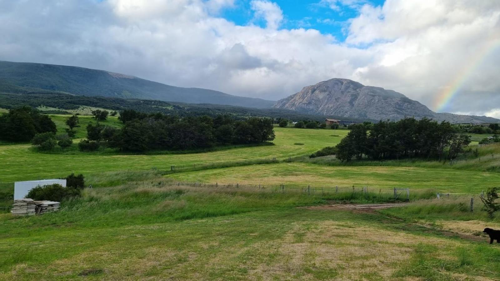 Cabanas Lucas Patagon Coyhaique Εξωτερικό φωτογραφία